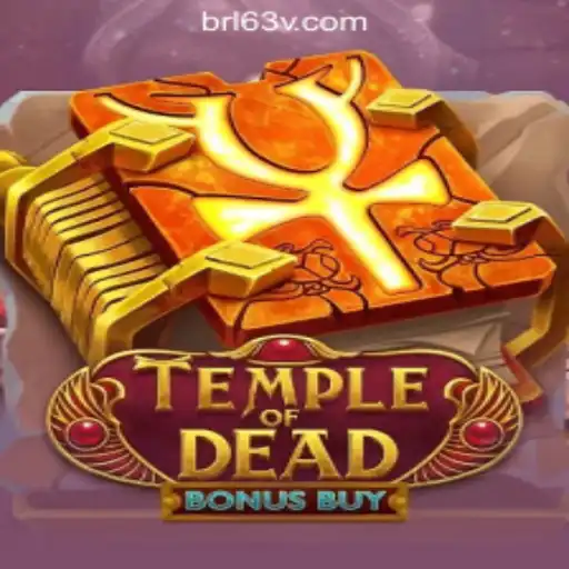 63V.COM Oficial Slots Brasil #1 Casino App